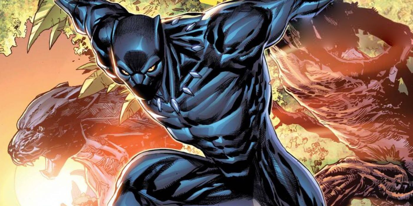 Black Panther está a punto de aprender los secretos ocultos de Wakanda